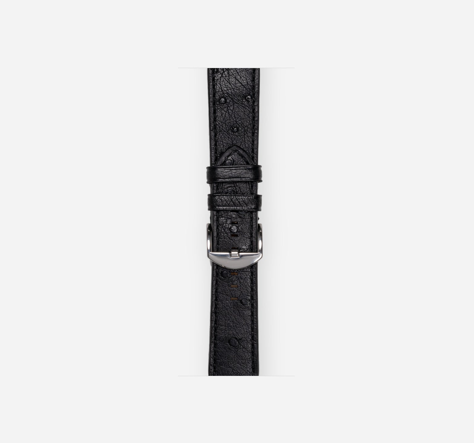 Ostrich Band | Black