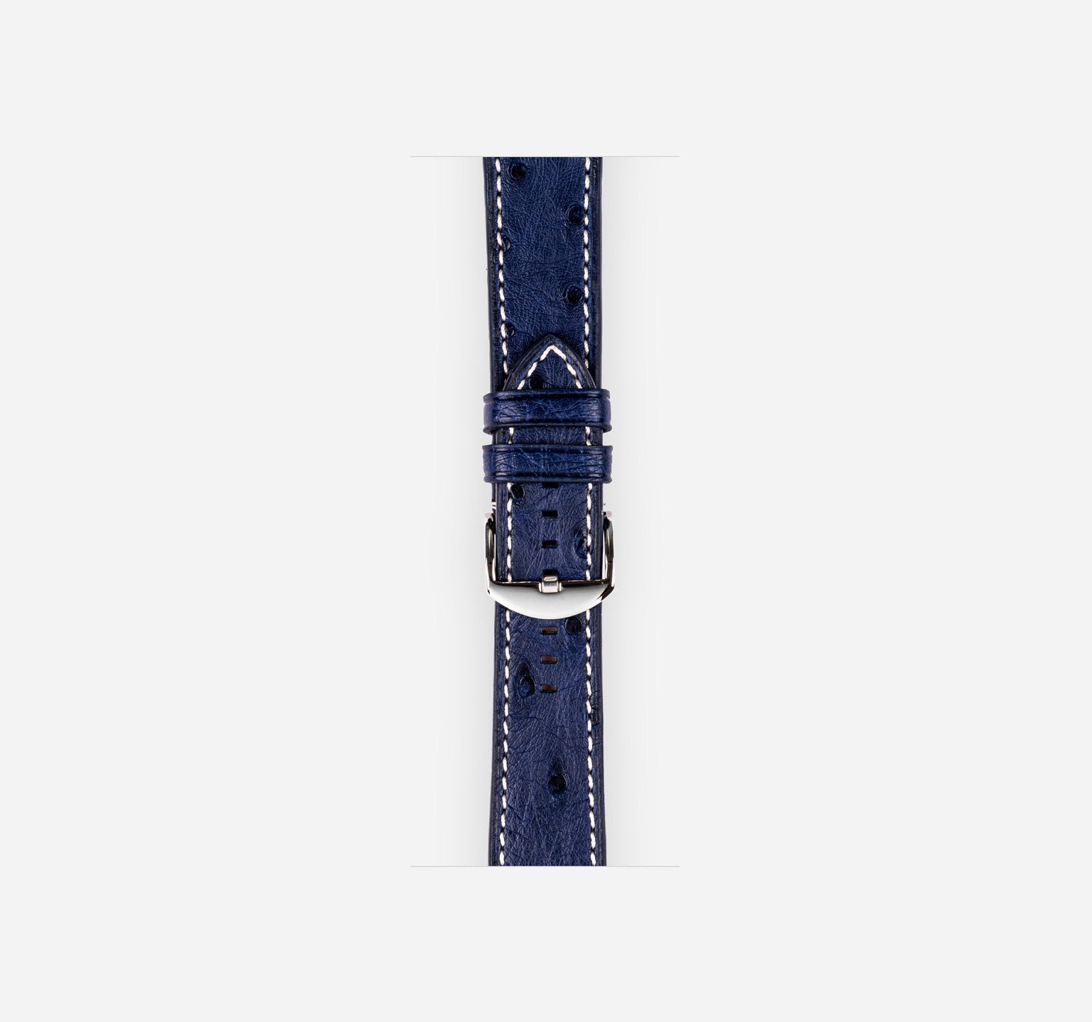 Ostrich Band | Blue